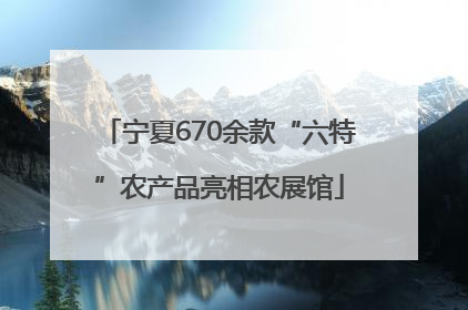 宁夏670余款“六特”农产品亮相农展馆